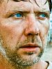 Mikael Persbrandt