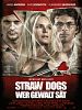 Straw Dogs - Wer Gewalt sät (DVD)