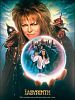 Die Reise ins Labyrinth