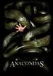 Bild zum Film : Anacondas