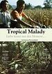 Bild zum Film : Tropical Malady