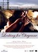 Bild zum Film : Looking For Cheyenne