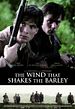 Bild zum Film : The Wind that Shakes the Barley