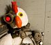 Robot Chicken
