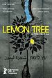 Bild zum Film : Lemon Tree