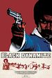 Bild zum Film : Black Dynamite
