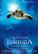 Tortuga - Die unglaubliche Reise der Meeresschildkröte