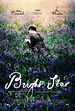 Bild zum Film : Bright Star - Die erste Liebe strahlt am hellsten