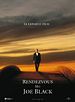 Bild zum Film : Rendezvous mit Joe Black