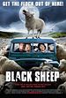 Black Sheep