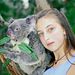 Koalas und andere Verwandte
