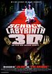 Schock Labyrinth 3D