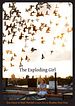 The Exploding Girl