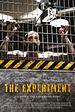 Bild zum Film : The Experiment
