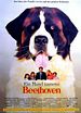 Bild zum Film : Ein Hund namens Beethoven
