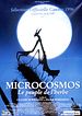 Bild zum Film : Mikrokosmos - Das Volk der Gräser