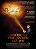 Bild zum Film : Die Höhle der vergessenen Träume