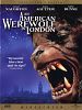 Bild zum Film : American Werewolf - Fürchte den Mond