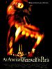 Bild zum Film : American Werewolf in Paris