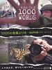...More Than 1000 Words