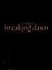 Bild zum Film : Twilight 4.2: Breaking Dawn - Bis(s) zum Ende der Nacht (Teil 2)