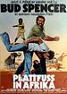 Plattfuß in Afrika