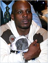 DMX